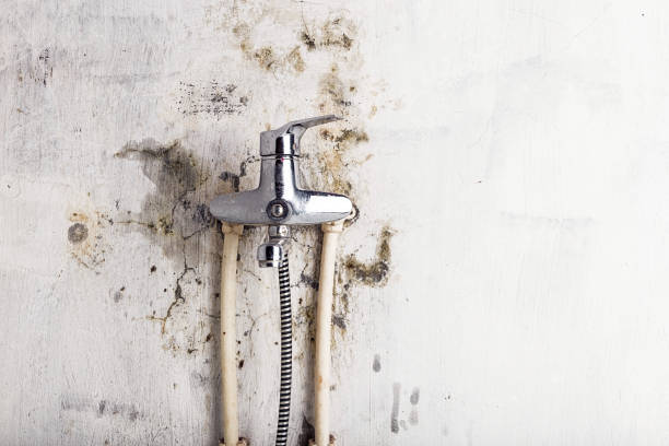 Best Residential Mold Remediation in Scottsbluff, NE
