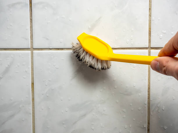 Best Commercial Mold Remediation in Scottsbluff, NE
